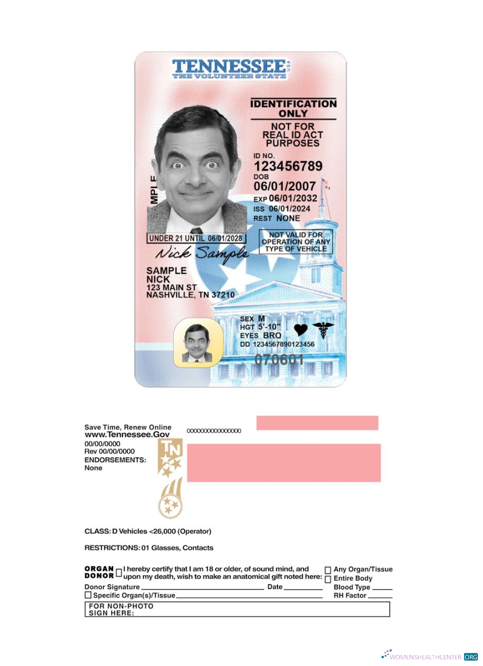 download USA Tennessee under 21 driving license 2024 present